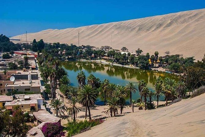 Full Day Paracas - Ica - Oasis Huacachina - A long 16 hours, but you cover the big three