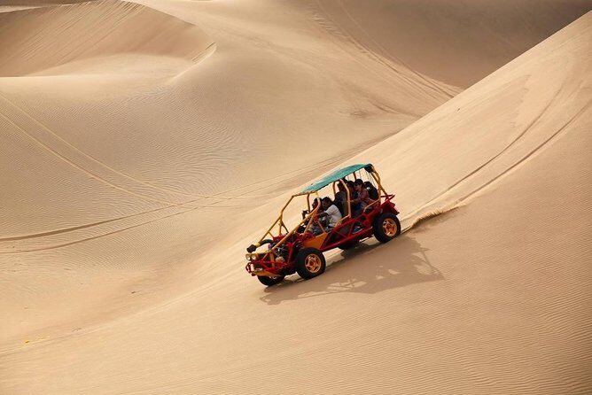 Full Day Paracas - Ica - Oasis Huacachina - Ica winery + pisco sour tasting in a single stop