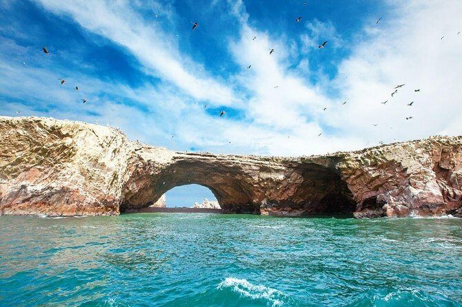 Full Day Paracas - Ica - Oasis Huacachina - Who should book this Paracas–Ica–Huacachina day