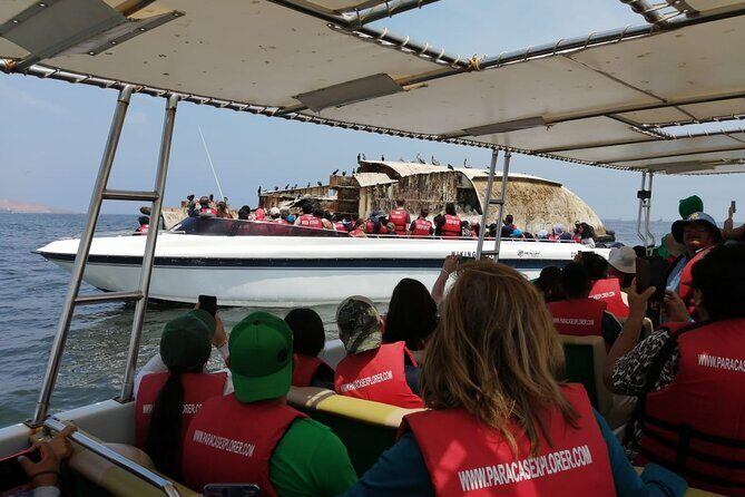 Full Day Paracas Islas Ballestas with Sandboarding and Dune Buggy - Key highlights you’ll feel right away