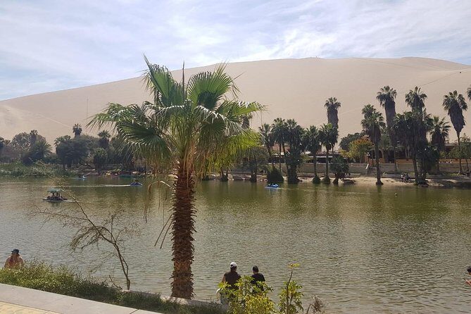 Full day to Paracas & Huacachina from Lima with Ballestas island & Sand boarding - The lagoon walk at Huacachina: a short pause with a payoff