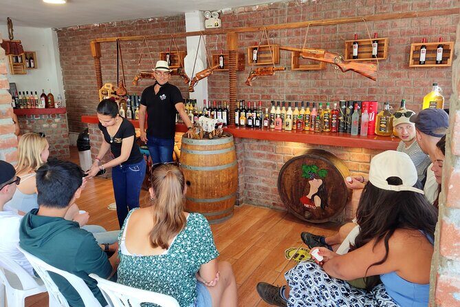 Full Day Tour in Lima Paracas Ica - Key Highlights You’ll Feel Immediately