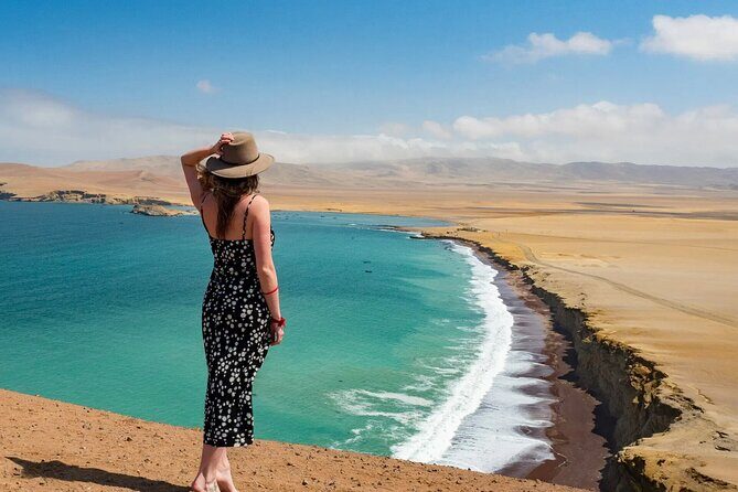Full Day tour Paracas and Ica - Key highlights to know before you go