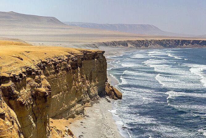 Full Day tour Paracas and Ica - Huacachina oasis: dune buggy and sand boarding in the best light