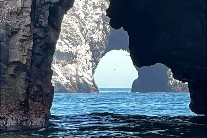 Guided Adventure to Paracas and Huacachina from Lima - Key highlights to know before you go