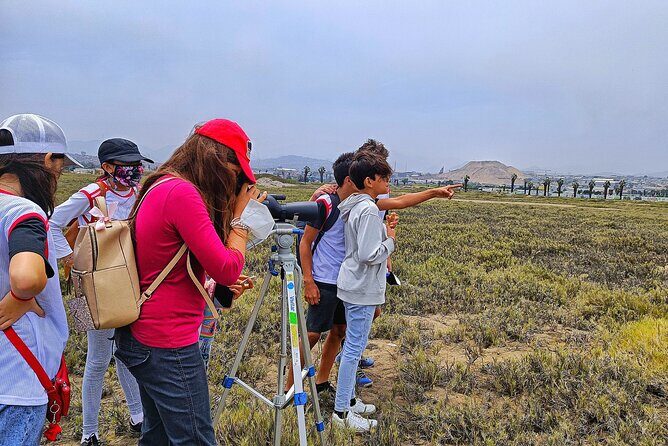 Half-Day Private Birdwatching Tour in Lima - Practical pacing: how to get good sightings (and good photos)