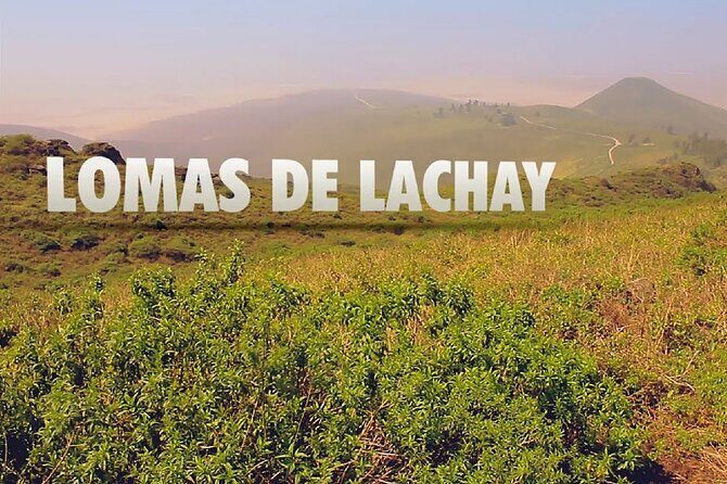 Hiking in Lima, Lomas de Lachay - Key highlights you’ll care about
