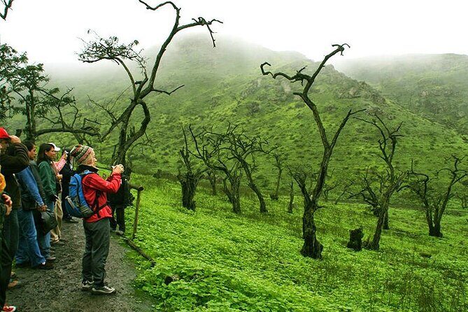 Hiking in Lima, Lomas de Lachay - Heading back to Lima: Chancay lunch and classic Peruvian comfort