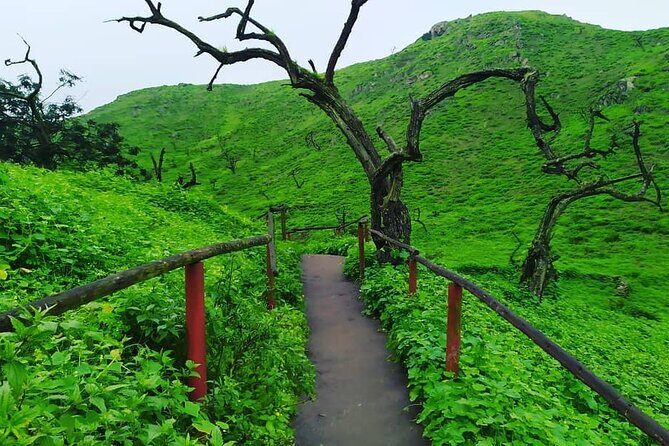 Hiking in Lima, Lomas de Lachay - A practical full-day schedule (and what each block is for)