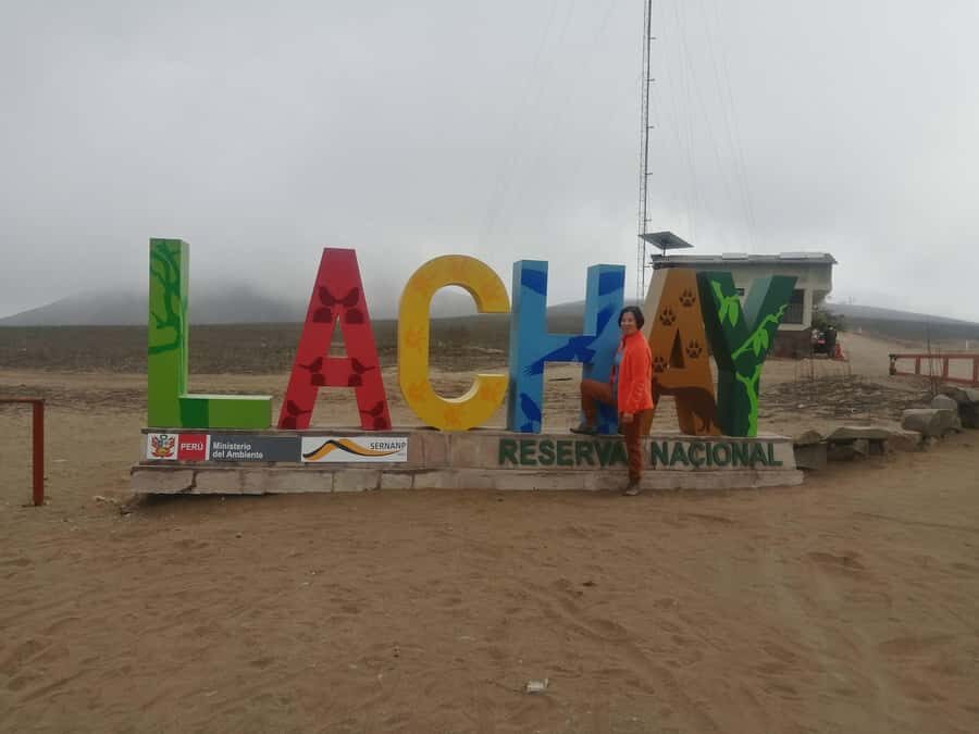 Hiking Lomas de Lachay in Lima - Key things to know before you go to Lomas de Lachay