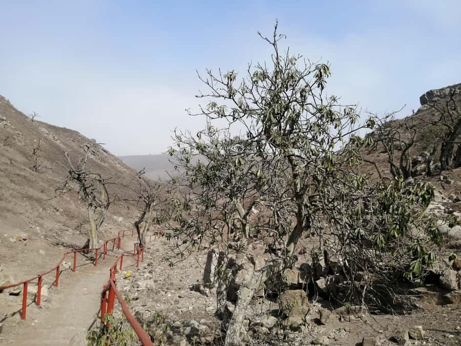 Hiking Lomas de Lachay in Lima - Timing and photo strategy: how to get the best views without rushing