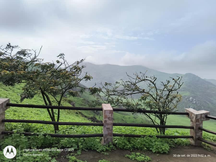 Hiking Lomas de Lachay in Lima - Who should book this hike, and who might not love it