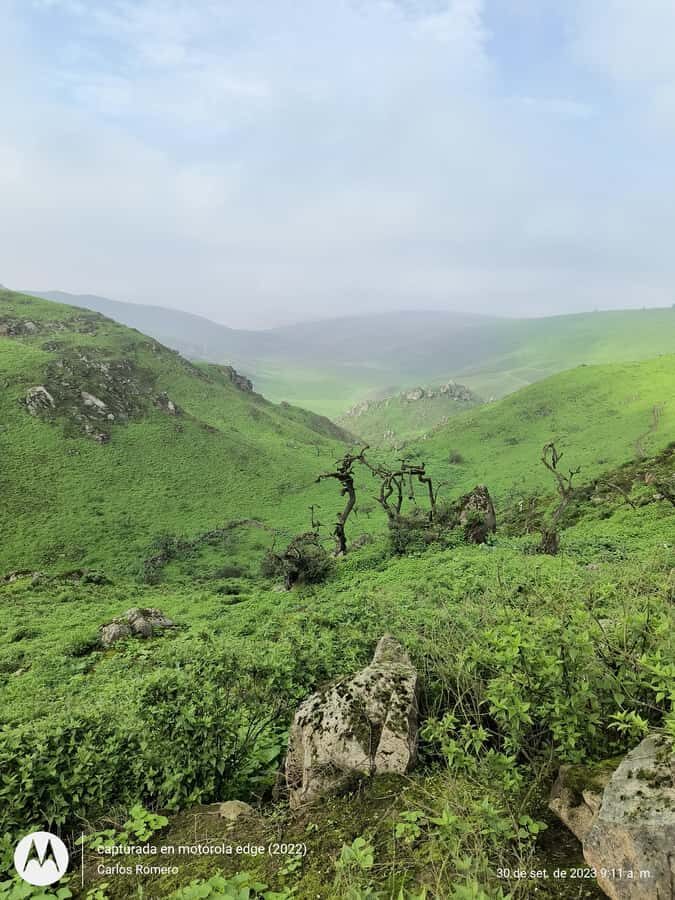 Hiking Lomas de Lachay in Lima - Price and value: what $165 buys you (and what it doesn’t)