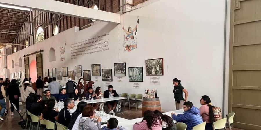 Ica: Tacama Winery and Pisco Tasting Tour with Hotel Pickup - Key things that make this tour worth your time