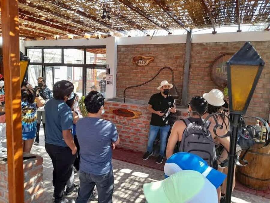 Ica: Tacama Winery and Pisco Tasting Tour with Hotel Pickup - Getting there: hotel pickup and the small-group pace