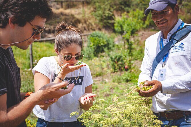 Journey in Cusco - Lima: a city-center introduction with a food focus