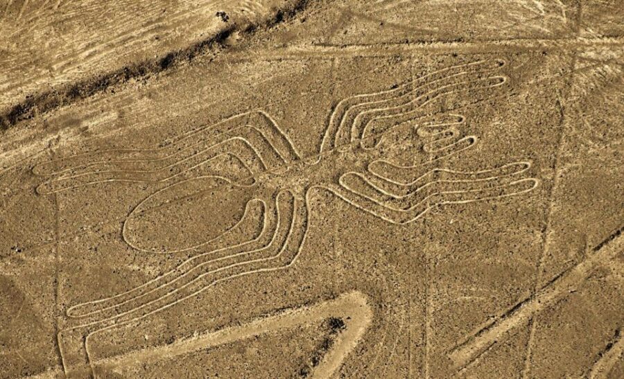 Lima: Ballestas Islands, Winery and Nazca Lines Private Tour - FAQ