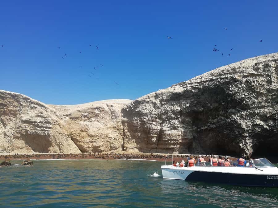 Lima: Ballestas Islands, Winery and Nazca Lines Private Tour - From Lima at 4:30 AM: the pace and where the day starts