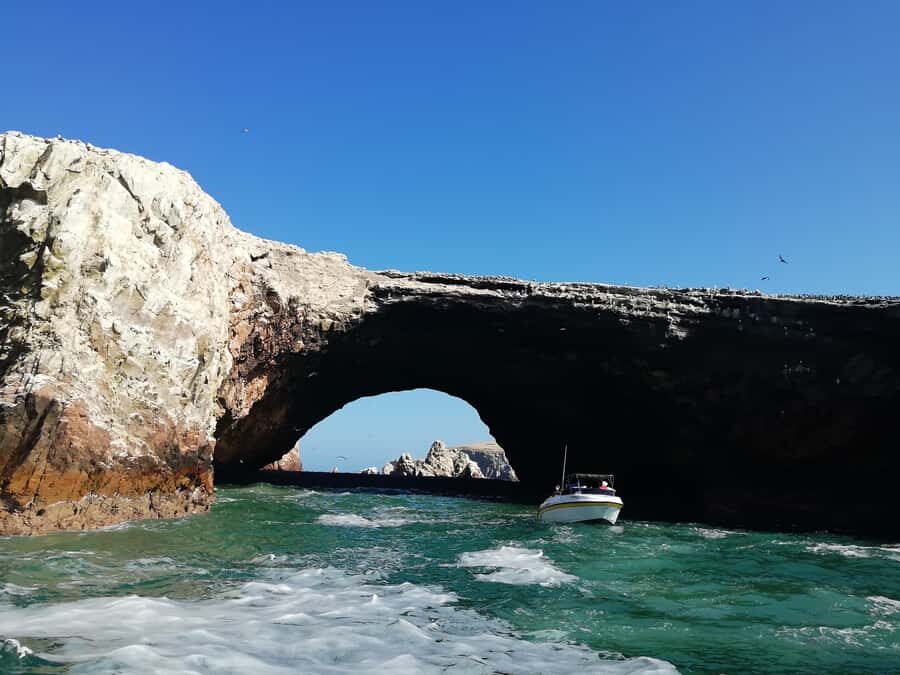 Lima: Ballestas Islands, Winery and Nazca Lines Private Tour - Price and value: $660 for flight, boats, meals, and taxes
