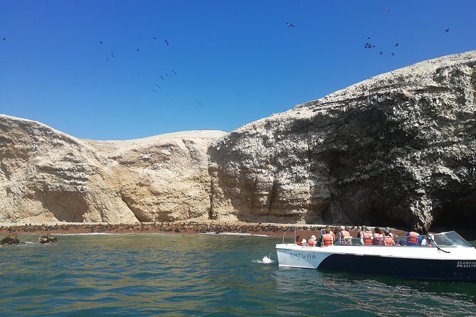 Lima: Ballestas Islands, Winery & Huacachina Oasis Private Tour - Why the 4:30 a.m. start works so well for this route