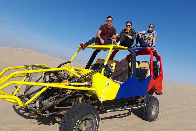 Lima: Ballestas Islands, Winery & Huacachina Oasis Private Tour - Ballestas Islands: the Mini Galapagos boat tour and what to watch for