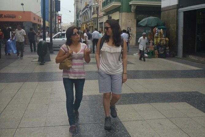 Lima City 4U Private Half-Day Tour - Price and logistics: what you’re really paying for (and why it can be fair)