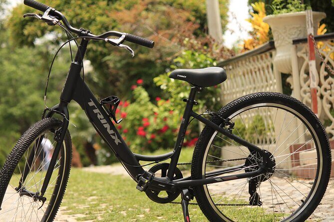 Lima Coast Biking - Best for: who should book this bike tour