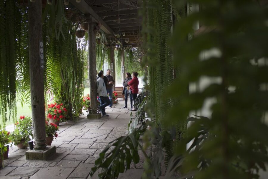 Lima: Half-Day Colonial Lima and Larco Museum Tour - What to bring so the day feels easy