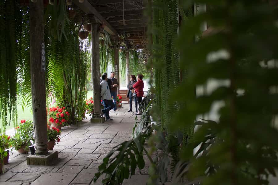 Lima: Half-Day Colonial Lima and Larco Museum Tour - Price and value: why $62 makes sense for what’s included