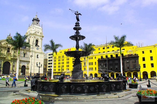 Lima Highlights! - City Tour & Miraflores, Barranco & San Isidro - San Isidro’s Olive Park: a calm pause with trees, tools, and fish