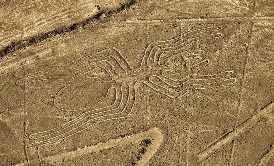 Lima: Huacachina, Winery, & Nazca Lines from Pisco Airport - The big idea: a long Lima day with three real highlights