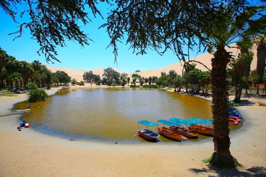 Lima: Huacachina, Winery, & Nazca Lines from Pisco Airport - Ica region: winery tour plus pisco and fruit liqueurs
