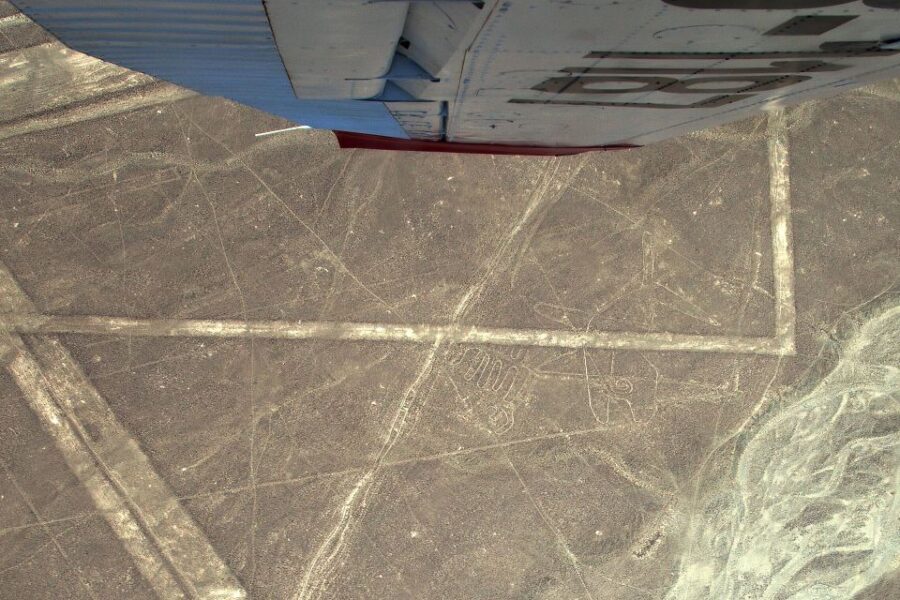 Lima: Huacachina, Winery, & Nazca Lines from Pisco Airport - Who this tour suits best (and who should skip it)