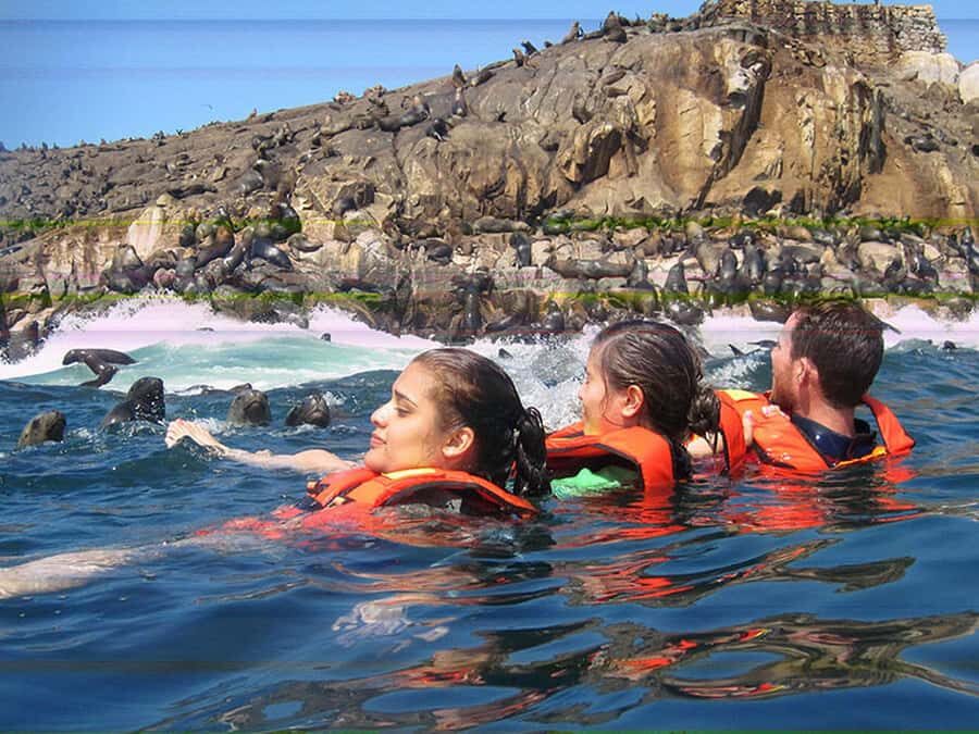 Lima | Islas Palomino Tour | Swim with Sea Lions - Cruising past San Lorenzo: penguins, guano birds, and fishing boats