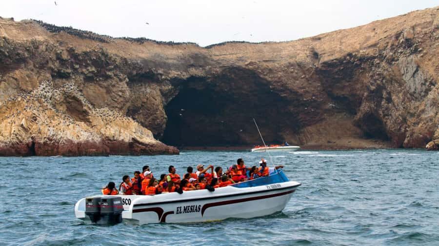 Lima | Islas Palomino Tour | Swim with Sea Lions - Should you book the sea lion swim from Callao?