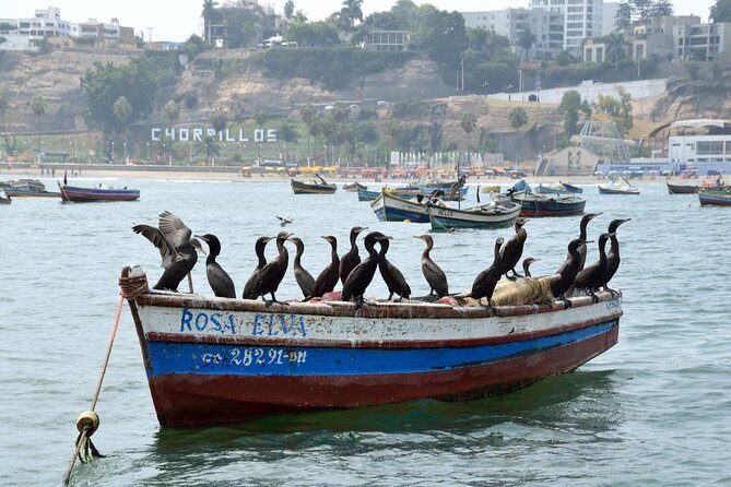 Lima Off the Beaten Path: Local Communities and Cultural Immersion - Who should book this Lima day—and who should skip it
