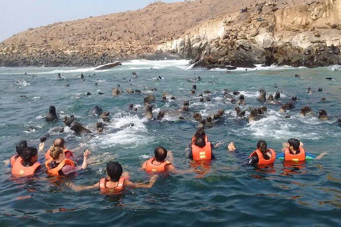 Lima: Palomino Islands Excursion & Swimming with Sea Lions with Hotel Transfers - Price and Value: What $125 Gets You in Lima