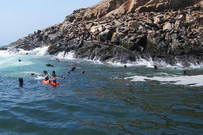 Lima: Palomino Islands Excursion & Swimming with Sea Lions with Hotel Transfers - Getting There From Lima: Hotel Transfers and Callao Harbor