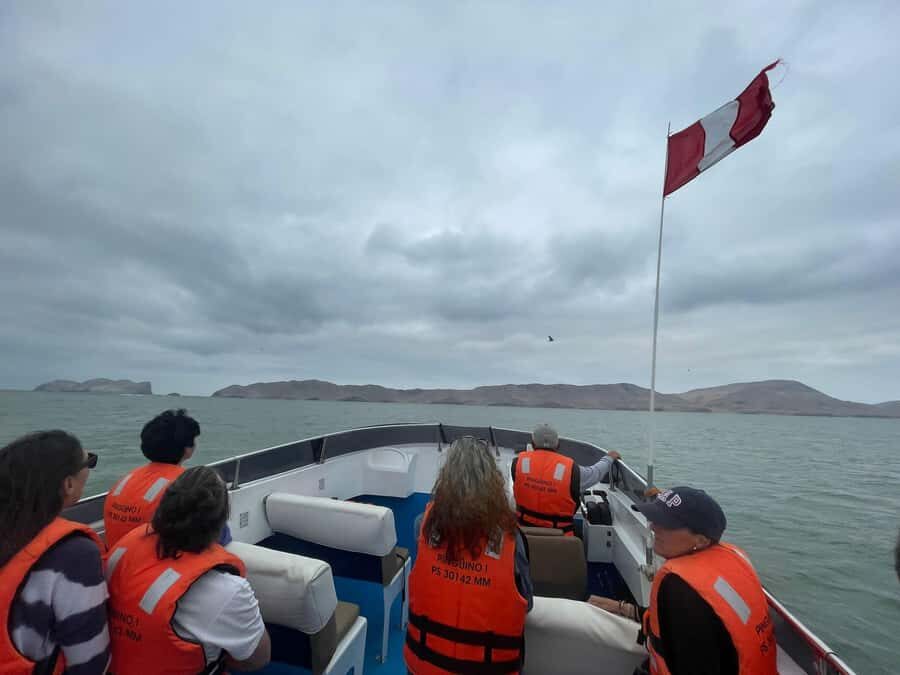 Lima: Palomino Islands Speedboat Tour & Swim with Sea Lions - Who should book this tour, and who should pass