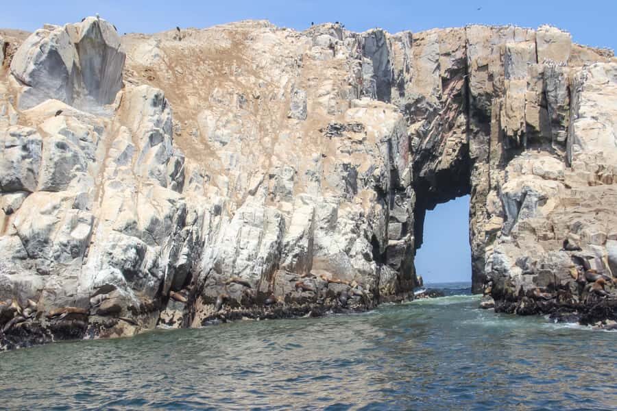 Lima: Palomino Islands Speedboat Tour & Swim with Sea Lions - Callao Harbor to the islands: cruising between El Camotal, San Lorenzo, and Palomino