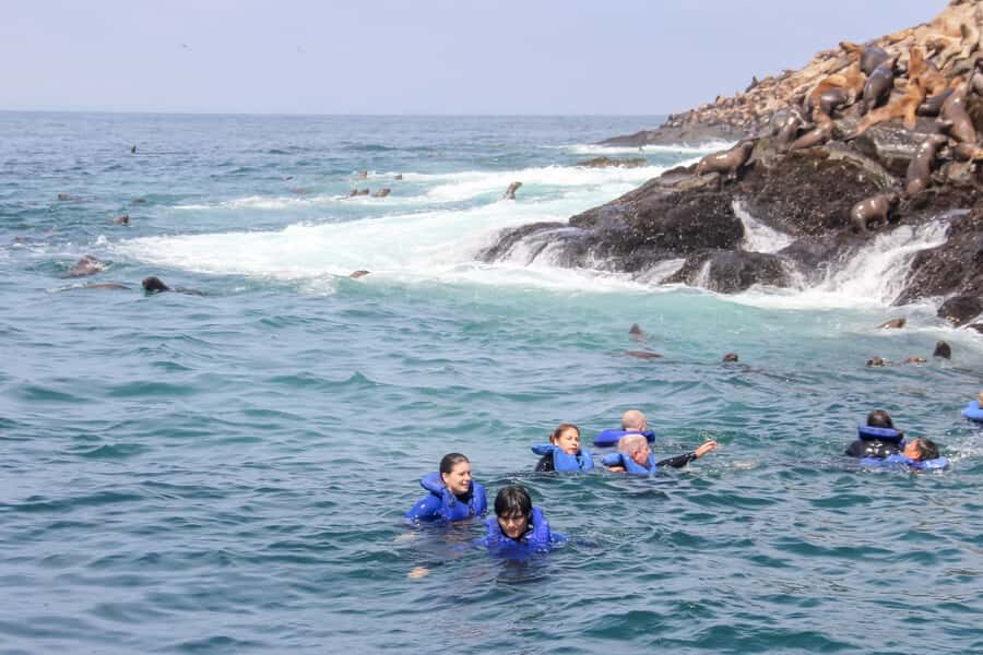 Lima: Palomino Islands Speedboat Tour & Swim with Sea Lions - Price and value: is $125 worth it?