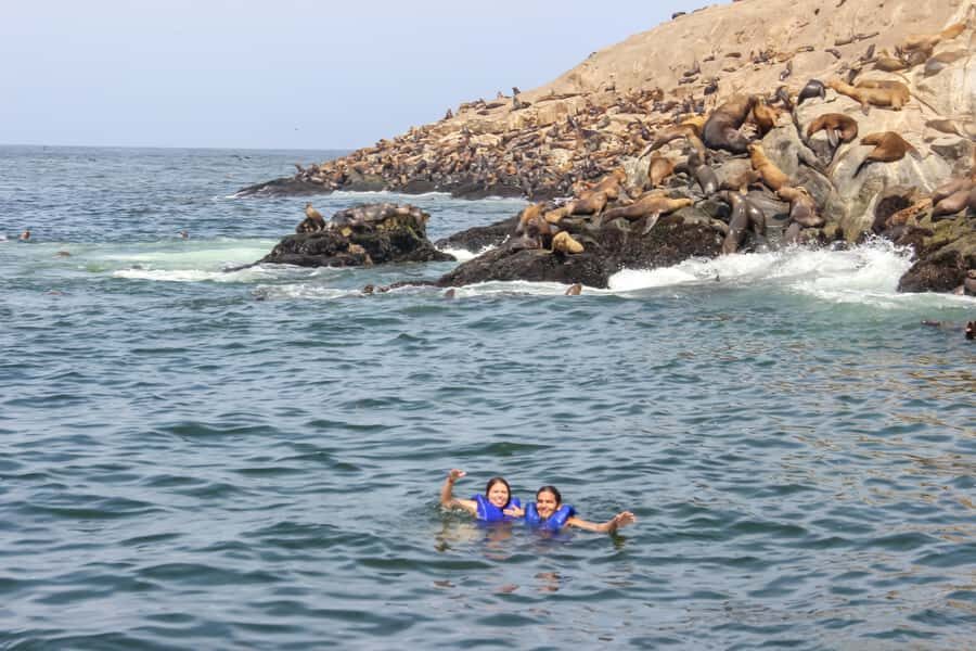 Lima: Palomino Islands Speedboat Tour & Swim with Sea Lions - What to bring (and what to protect) so you don’t ruin the day
