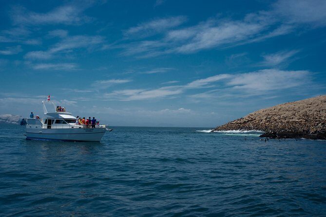 Lima: Palomino Islands, swim with sea lions in the Pacific Ocean - Gear and clothing: what you should wear and bring