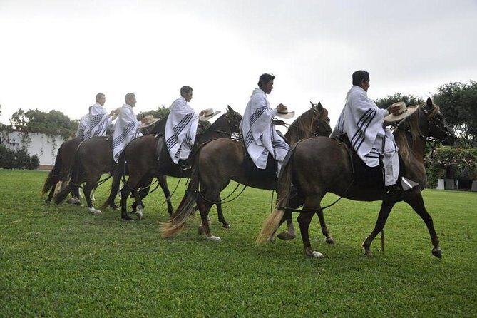 Lima: Premium Peruvian Horse Show with Lunch & Transfers - Key things to know before you go
