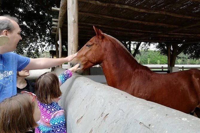 Lima: Premium Peruvian Horse Show with Lunch & Transfers - Riding the Paso horse: short, memorable, and supervised