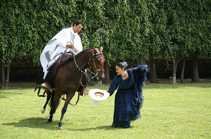 Lima: Premium Peruvian Horse Show with Lunch & Transfers - The show: chalanes, marinera norteña, and trained athleticism