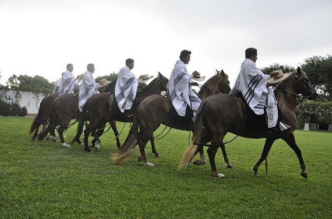 Lima: Premium Peruvian Horse Show with Lunch & Transfers - Lunch and Pisco sour: farm-forward Peruvian comfort