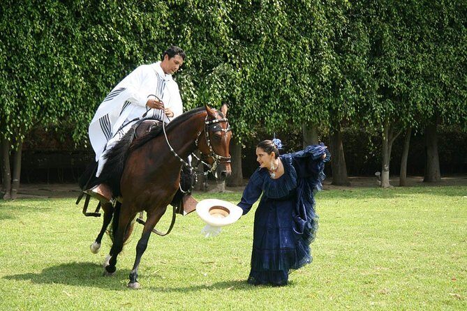 Lima: Premium Peruvian Horse Show with Lunch & Transfers - Timing, pace, and how the day actually feels