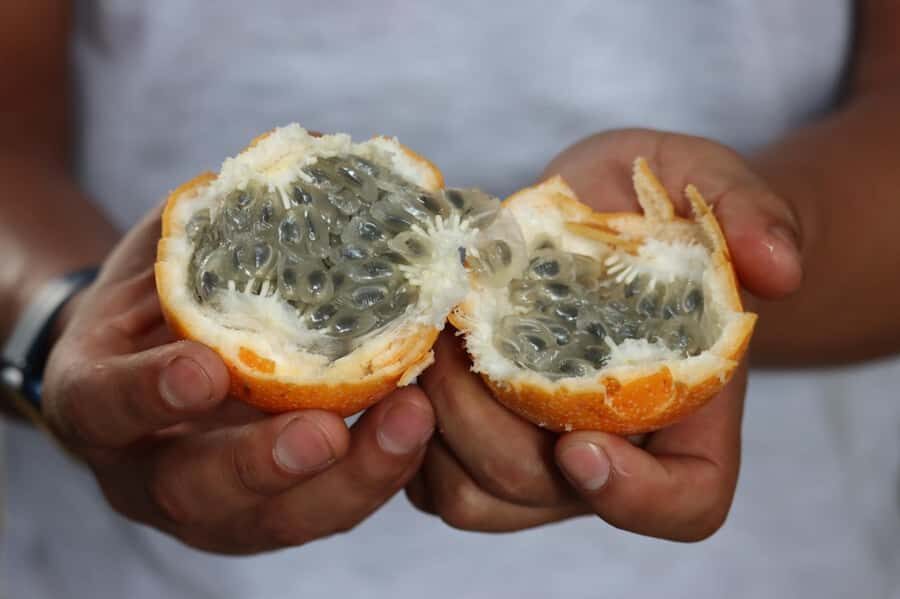 Lima: Shanty Town Exploration - Traditional Market Time: Where the Fruit Tells You the Story