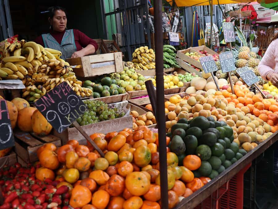 Lima: Villa El Salvador Shanty Town Tour - Walking the community with your guide: history, politics, religion